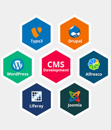 CMS Development Infotech Infosis